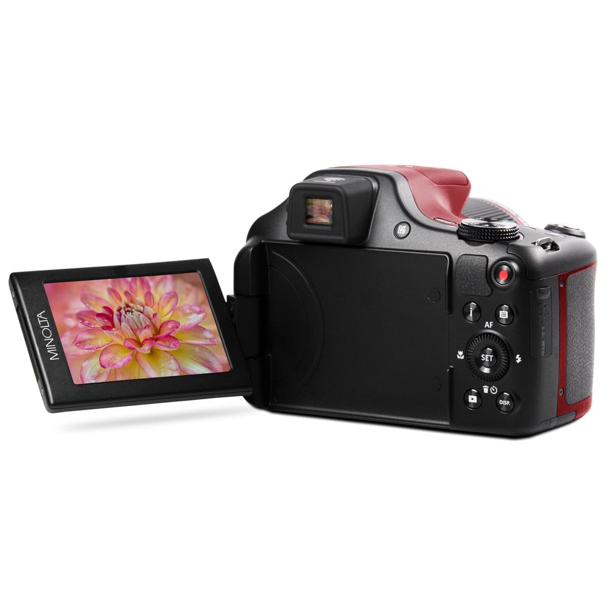Amazon.com : Minolta MN67Z Pro Shot 20MP Camera, 67X Zoom, 1080p